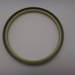 Dust Seal DKBI